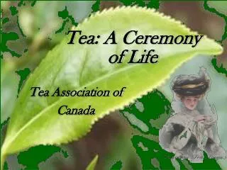 Tea: A Ceremony of Life