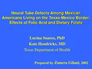 Neural Tube Defects Among Mexican Americans Living on the Texas-Mexico Border: Effects of Folic Acid and Dietary Folate