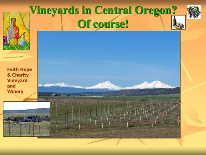 vineyards in central oregon of course