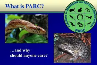 What is PARC?