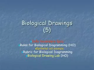 Biological Drawings (5)
