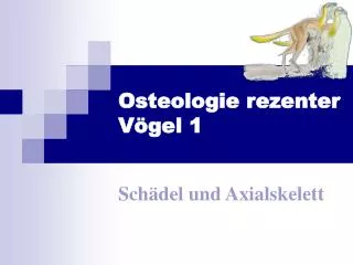 Osteologie rezenter Vögel 1