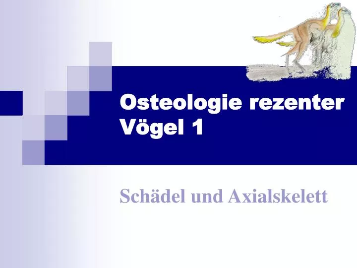 osteologie rezenter v gel 1