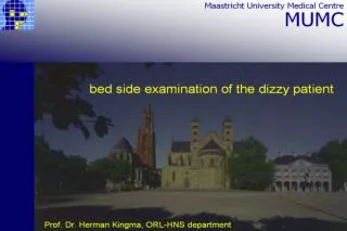 bed side examination of the dizzy patient Herman Kingma, ORL-HNS department