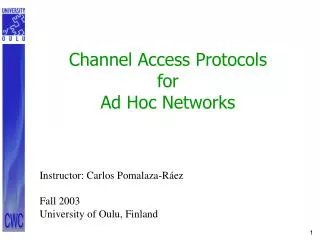 Channel Access Protocols for Ad Hoc Networks