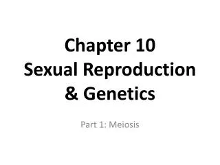 Chapter 10 Sexual Reproduction &amp; Genetics