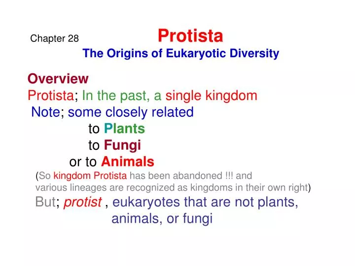 chapter 28 protista the origins of eukaryotic diversity