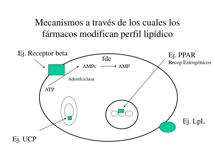 mecanismos a trav s de los cuales los f rmacos modifican perfil lip dico