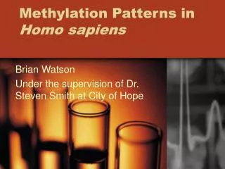 Methylation Patterns in Homo sapiens