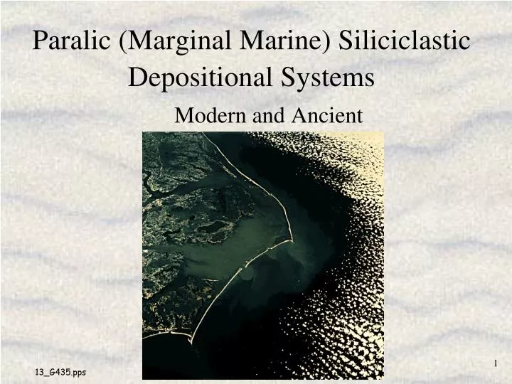 paralic marginal marine siliciclastic depositional systems