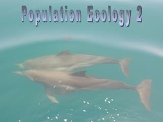 Population Ecology 2