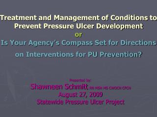 Presented by: Shawneen Schmitt , RN MSN MS CWOCN CFCN August 27, 2009 Statewide Pressure Ulcer Project