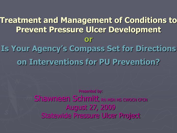 presented by shawneen schmitt rn msn ms cwocn cfcn august 27 2009 statewide pressure ulcer project