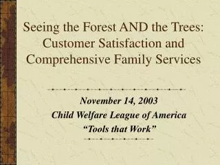 Seeing the Forest AND the Trees: Customer Satisfaction and Comprehensive Family Services