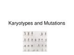 Karyotypes and Mutations - slide 1