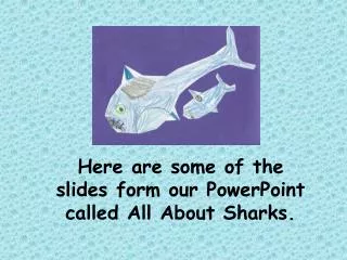 Here are some of the slides form our PowerPoint called All About Sharks.