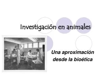 Investigación en animales
