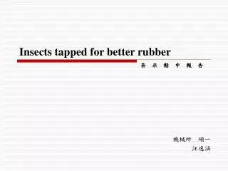 insects tapped for better rubber