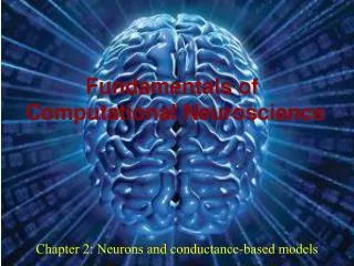 Chapter 2: Neurons and conductance-based models