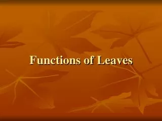 Functions of Leaves