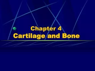 Chapter 4 Cartilage and Bone
