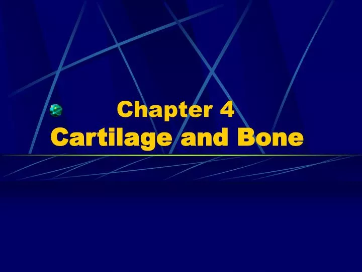 chapter 4 cartilage and bone