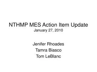 NTHMP MES Action Item Update January 27, 2010