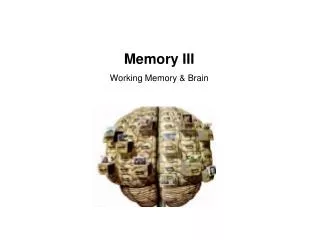 Memory III Working Memory &amp; Brain