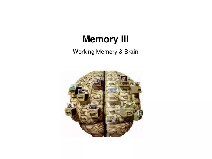 memory iii working memory brain
