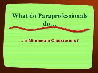 What do Paraprofessionals do…