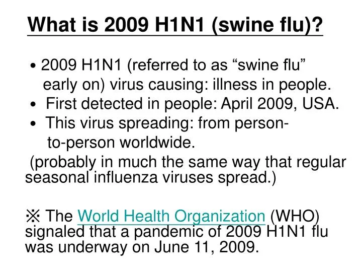 what is 2009 h1n1 swine flu