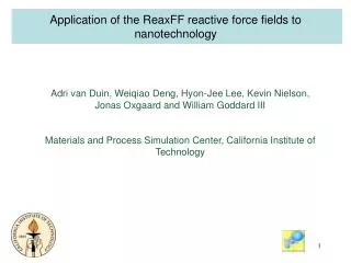 Application of the ReaxFF reactive force fields to nanotechnology