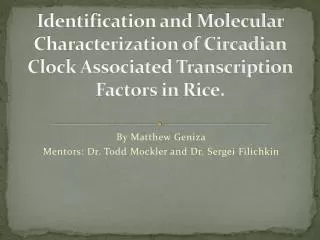 Identification and Molecular Characterization of Circadian Clock Associated Transcription Factors in Rice.