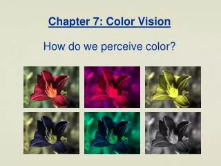 Chapter 7: Color Vision How do we perceive color?