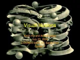 Visual Illusions