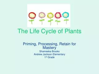 The Life Cycle of Plants