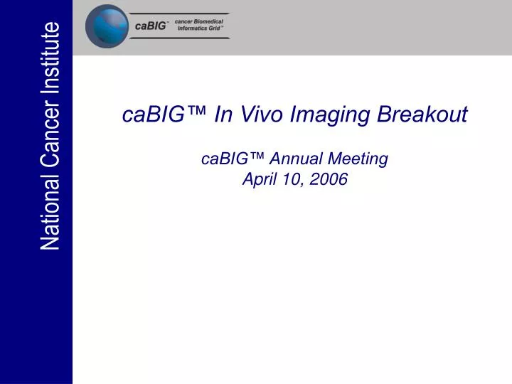 cabig in vivo imaging breakout cabig annual meeting april 10 2006
