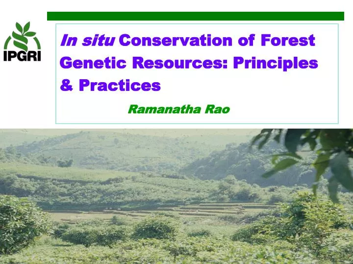 in situ conservation of forest genetic resources principles practices ramanatha rao