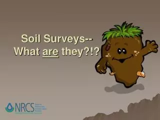 Soil Surveys-- What are they?!?