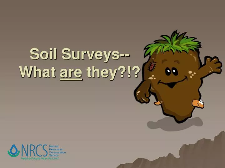 soil surveys what are they