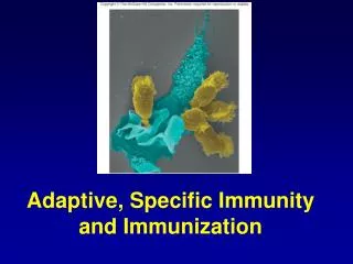 Adaptive, Specific Immunity and Immunization