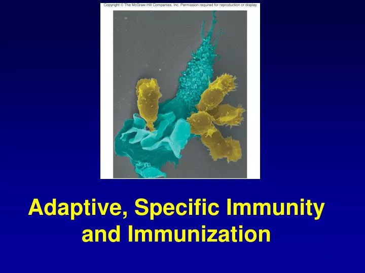 adaptive specific immunity and immunization