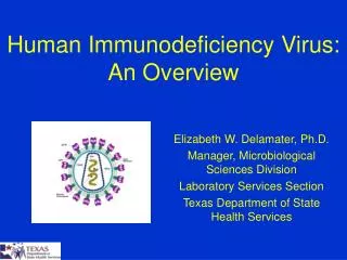 Human Immunodeficiency Virus: An Overview