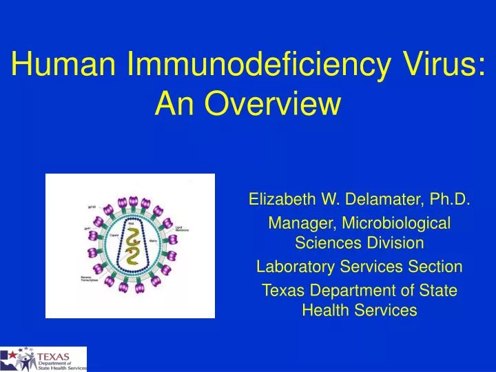 human immunodeficiency virus an overview