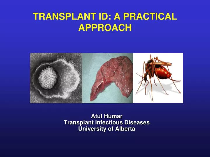 transplant id a practical approach