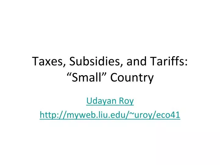 taxes subsidies and tariffs small country