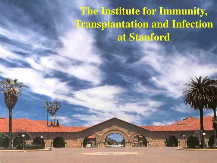 the institute for immunity transplantation and infection at stanford