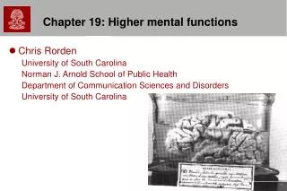 Chapter 19: Higher mental functions