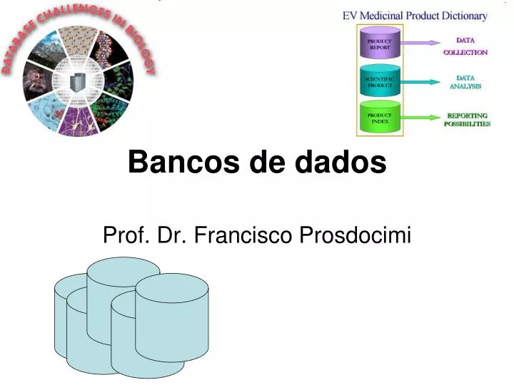 bancos de dados