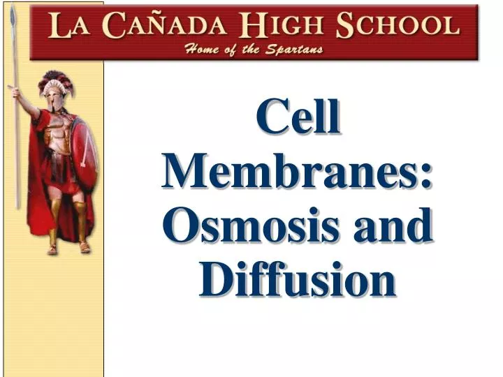 cell membranes osmosis and diffusion